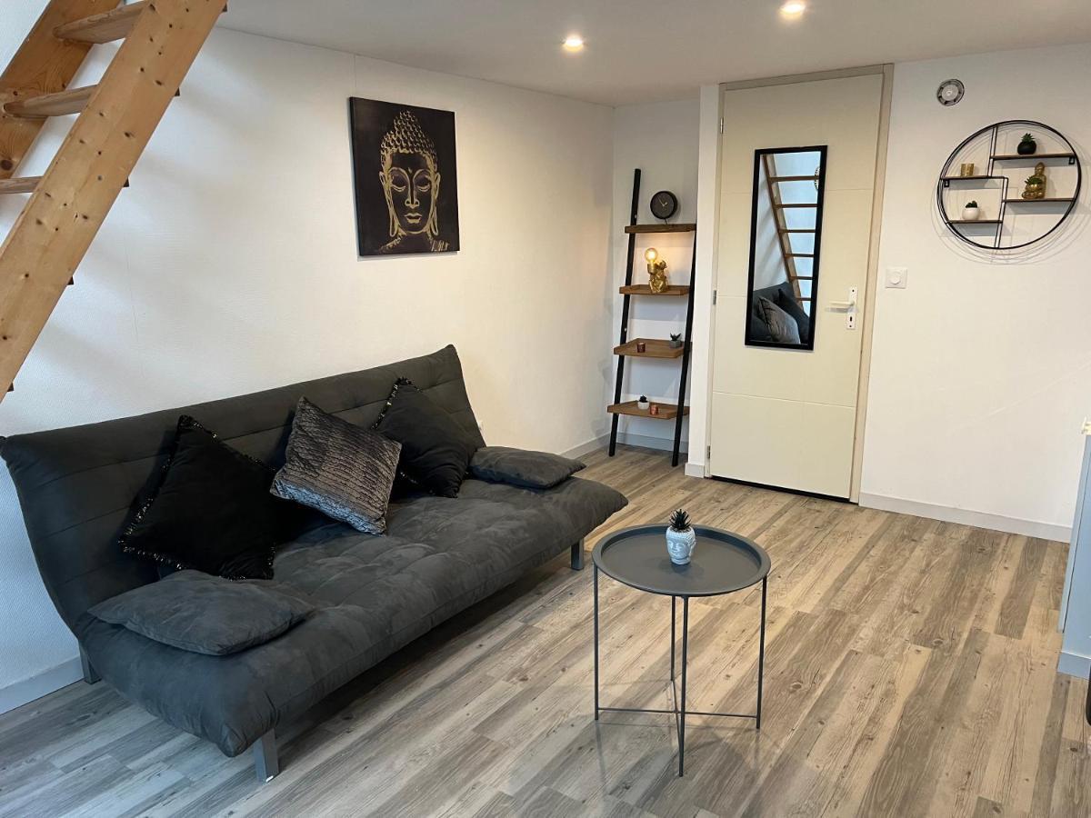 Appartement Cosy Proche Gare Toulouse Ngoại thất bức ảnh